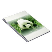 Panda Notizblock (Rechte Seite)