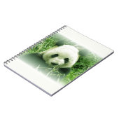 Panda Notizblock (Linke Seite)