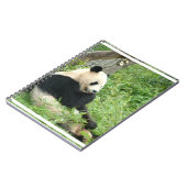 Panda-Notizbuch Notizblock (Linke Seite)