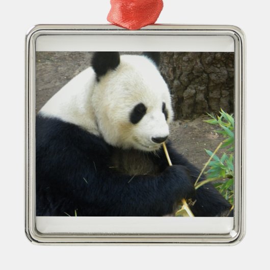 Panda Ornament Aus Metall (Vorne)