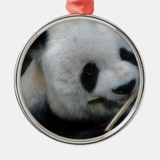 Panda Ornament Aus Metall (Vorne)