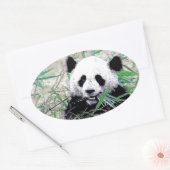 Panda Ovaler Aufkleber (Umschlag)