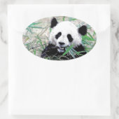 Panda Ovaler Aufkleber (Tasche)