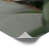 Panda Pastel Painting Artwork Poster (Ecke)