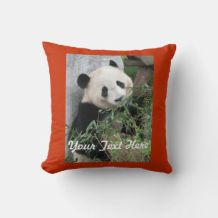 Panda Pillow, Solid Orange Back Square Kissen