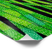 Panda - Plakatwerbung Poster (Ecke)