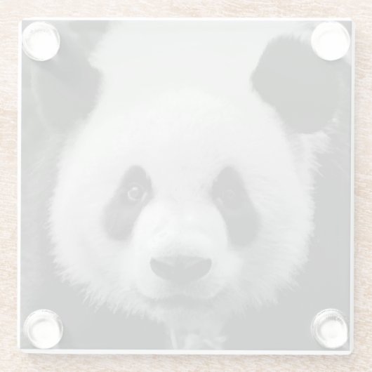 Panda Pop Art Glasuntersetzer (Rückseite)