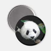 Panda Pop Art Magnet (Vorderseite/Rückseite)