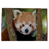 Panda Portrait Geschenktasche Große Geschenktüte (Rückseite)