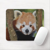 Panda Portrait Mousemat Mousepad (Mit Mouse)