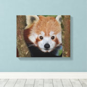 Panda Portrait Wrapped Canvas Leinwanddruck (Insitu (Holzboden))
