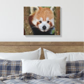 Panda Portrait Wrapped Canvas Leinwanddruck (Insitu (Schlafzimmer))