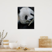 Panda Poster (Küche)