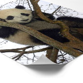 Panda Poster (Ecke)