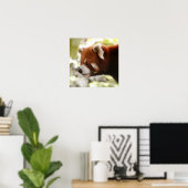 Panda Poster (Heimbüro)