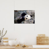 Panda Poster (Küche)