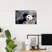 Panda Poster (Heimbüro)