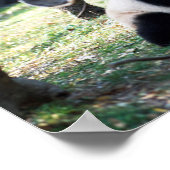 Panda Poster (Ecke)