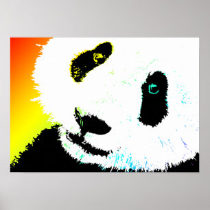 Panda. Poster