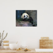 Panda Poster (Küche)
