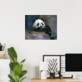 Panda Poster (Heimbüro)