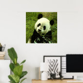 Panda Poster - Panda Posters Prints (Heimbüro)