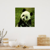 Panda Poster - Panda Posters Prints (Küche)