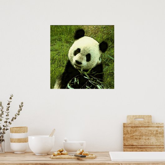 Panda Poster - Panda Posters Prints (Küche)