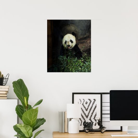 Panda Poster / Print (Heimbüro)
