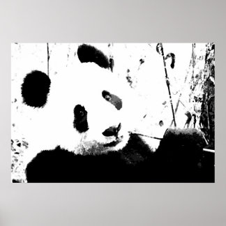 Panda Poster - Schwarz-Weiß-Panda-Gesicht