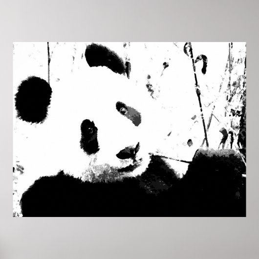 Panda Poster - Schwarz-Weiß-Panda-Gesicht (Vorne)