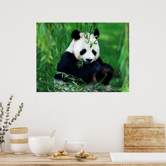 Panda Posters Prints - Panda Eating Blätter Poster (Küche)