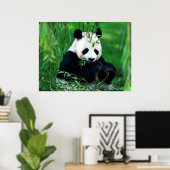 Panda Posters Prints - Panda Eating Blätter Poster (Heimbüro)