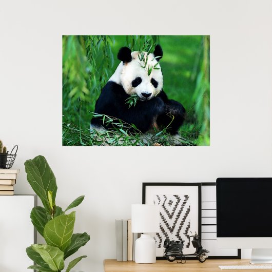 Panda Posters Prints - Panda Eating Blätter Poster (Heimbüro)