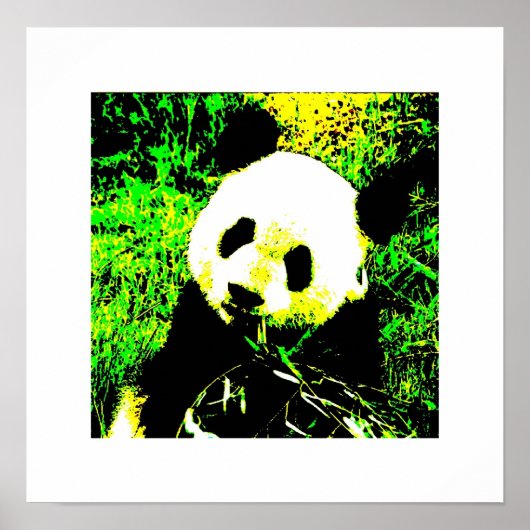 Panda Posters Prints - Panda Eating Poster (Vorne)
