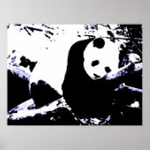 Panda Posters Prints - Panda Sleeping Poster (Vorne)