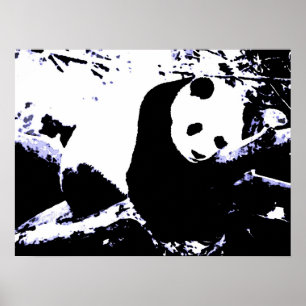 Panda Posters Prints - Panda Sleeping Poster