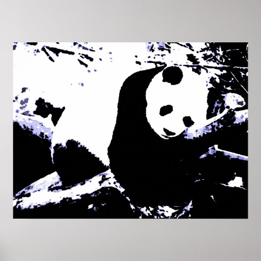 Panda Posters Prints - Panda Sleeping Poster (Vorne)