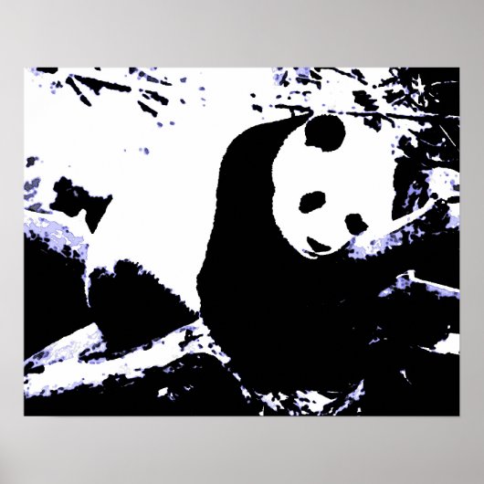 Panda Posters Prints - Panda Sleeping Poster (Vorne)