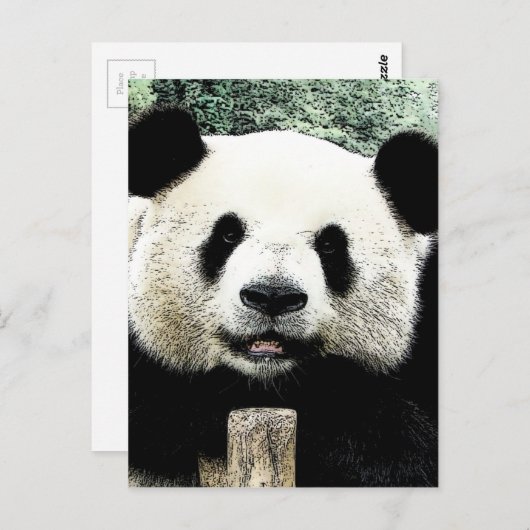 Panda Postkarte (Vorne/Hinten)