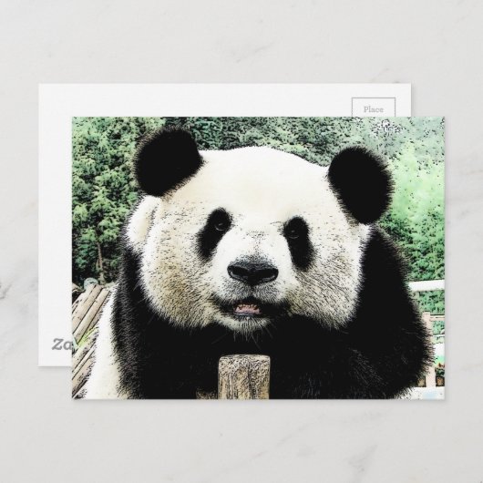 Panda Postkarte (Vorne/Hinten)