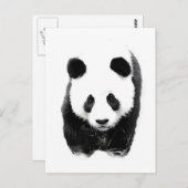 Panda Postkarte (Vorne/Hinten)