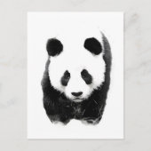 Panda Postkarte (Vorderseite)