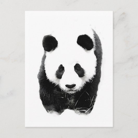Panda Postkarte (Vorderseite)