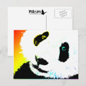Panda. Postkarte (Vorne/Hinten)