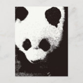 Panda Postkarte (Vorderseite)