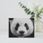 Panda Postkarte (Stehend Vorderseite)