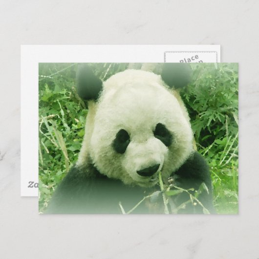 Panda Postkarte (Vorne/Hinten)