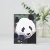 Panda Postkarte (Stehend Vorderseite)