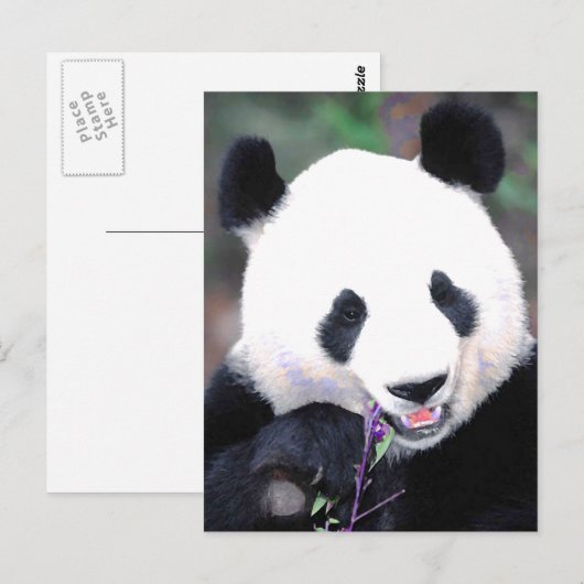 Panda Postkarte (Vorne/Hinten)
